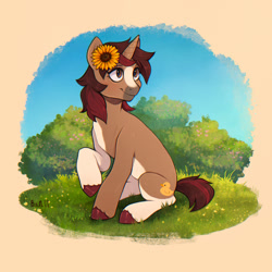 Size: 1600x1600 | Tagged: oc name needed, safe, artist:birdoffnorth, oc, oc only, pony, unicorn, brown eyes, brown mane, bush, coat markings, female, flower, flower in hair, grass, grass field, mare, pinto, short tail, solo, sunflower, tail