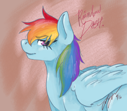 Size: 4000x3508 | Tagged: safe, artist:probaby01, rainbow dash, pegasus, pony, g4, female, mare, signature, simple background, smiling, solo
