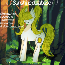 Size: 1280x1280 | Tagged: safe, artist:v1rn0, oc, oc:sun_shine, earth pony, horse, pony, art, blue eyes, digital art, looking at you, photo, smiling, smirk, solo, standing, sun, transformation, white pony
