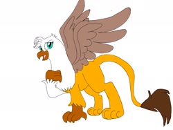 Size: 2048x1536 | Tagged: safe, artist:wolfspiritclan, oc, griffon, g5, my little pony: tell your tale, griffon oc, solo