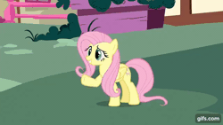Size: 640x360 | Tagged: safe, screencap, apple bloom, fluttershy, scootaloo, sweetie belle, angel, earth pony, pegasus, pony, unicorn, g4, season 1, stare master, ^^, adorabloom, animated, apple bloom's bow, bow, cute, cutealoo, cutie mark crusaders, diasweetes, eyes closed, female, filly, foal, gif, gifs.com, grin, hair bow, halo, mare, open mouth, open smile, smiling