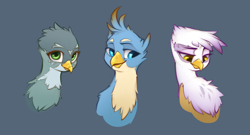 Size: 2940x1587 | Tagged: safe, artist:blue ink, gabby, gallus, gilda, griffon, bust, chest fluff, female, looking at you, male, portrait, simple background, smiling, trio
