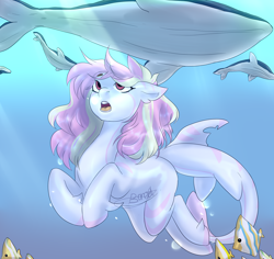 Size: 2522x2378 | Tagged: safe, artist:boresuser, oc, oc only, oc:rainy skies, fish, merpony, original species, pony, shark, shark pony, whale, blue background, bubble, crepuscular rays, dorsal fin, female, fish tail, high res, looking up, mare, ocean, open mouth, pink mane, red eyes, simple background, solo, sunlight, swimming, tail, teeth, underwater, water