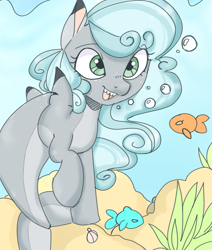 Size: 868x1026 | Tagged: safe, artist:mushy, oc, oc only, oc:bubbles, fish, original species, pony, shark, shark pony, bubble, female, fish tail, flowing mane, green eyes, looking at each other, mare, ocean, open mouth, seashell, seaweed, sharkified, sharp teeth, smiling, smiling at each other, solo, species swap, swimming, tail, talking to viewer, teeth, underwater, water