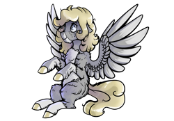 Size: 3300x2300 | Tagged: safe, artist:mylittlegodzilla, oc, oc only, oc:gray bird, pegasus, pony, chest fluff, high res, simple background, solo, transparent background