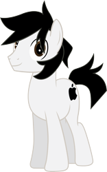 Size: 1816x2912 | Tagged: safe, artist:mlptmntfan2000, oc, oc:apple, earth pony, pony, male, simple background, solo, stallion, transparent background