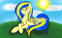 Size: 604x377 | Tagged: safe, artist:marka, oc, oc:ukraine, pegasus, pony, female, nation ponies, solo, ukraine