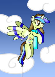 Size: 1134x1600 | Tagged: safe, artist:platinumdrop, oc, oc only, oc:epsi pep power, alicorn, pony, balloon, request, sky, solo