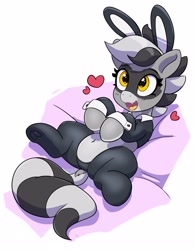 Size: 2335x3000 | Tagged: safe, artist:pabbley, oc, oc only, oc:bandy cyoot, hybrid, pony, raccoon, raccoon pony, belly button, bunny ears, bunny suit, clothes, cute, cute little fangs, dock, fangs, female, floating heart, frog (hoof), heart, high res, lying down, mare, ocbetes, on back, open mouth, open smile, reverse bunny suit, simple background, smiling, solo, tail, underhoof, white background