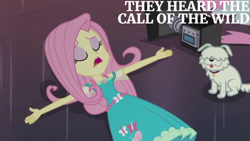 Size: 1280x720 | Tagged: safe, edit, edited screencap, editor:quoterific, screencap, fluttershy, human, equestria girls, g4, my little pony equestria girls: better together, outtakes (episode), clothes, cutie mark on clothes, eyes closed, female, geode of fauna, jewelry, lying down, magical geodes, necklace, open mouth, text, video camera