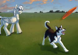 Size: 1280x906 | Tagged: safe, artist:tigra0118, oc, oc only, alicorn, dog, pony, alicorn oc, butt, commission, digital art, frisbee, horn, male, pet, plot, solo, wings, ych result