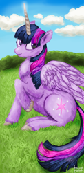 Size: 1080x2220 | Tagged: safe, artist:heavenheather, twilight sparkle, alicorn, pony, g4, chest fluff, grass, looking at you, sitting, sky, solo, twilight sparkle (alicorn)