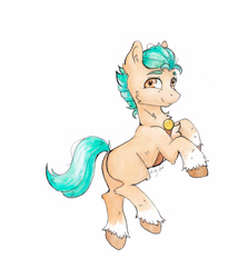 Size: 3786x4249 | Tagged: safe, artist:lightisanasshole, hitch trailblazer, earth pony, pony, g5, absurd resolution, butt, chest fluff, coat markings, full body, hitchbutt, looking at you, looking back, looking back at you, male, ok hand sign, plot, signature, simple background, smiling, smiling at you, socks (coat markings), solo, stallion, traditional art, unshorn fetlocks, watercolor painting, white background, wingding eyes