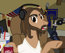Size: 2850x2350 | Tagged: safe, artist:cheezedoodle96, earth pony, pony, .svg available, alliance, american flag, april fools, asmongold, beard, chair, clothes, cup, dr. pepper, drink, drinking straw, facial hair, headphones, high res, livestream, long hair, looking at you, male, messy mane, microphone, moustache, pixel art, ponified, ponified celebrity, r/place, raised hoof, reddit, shirt, soda can, solo, stallion, svg, t-shirt, talking, twitch.tv, vector, warcraft, world of warcraft