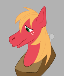 Size: 640x756 | Tagged: safe, artist:sleepyeena, big macintosh, earth pony, pony, g4, bust, male, portrait, solo, stallion