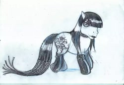 Size: 640x441 | Tagged: safe, artist:steve beaumont, earth pony, pony, g3, bangs, black mane, boots, braid, braided tail, choker, clothes, collar, concept art, female, fetish, flower, goth, gothic, leather, leather boots, lidded eyes, mare, rose, shoes, sketch, sketch dump, socks, solo, tail, traditional art, what could have been, whip, zipper