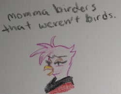 Size: 2048x1590 | Tagged: safe, artist:pony quarantine, oc, oc only, oc:whore birb, griffon, bust, clothes, crayon drawing, dialogue, female, griffon oc, robe, solo, traditional art