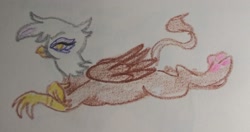 Size: 2048x1082 | Tagged: safe, artist:pony quarantine, gilda, griffon, g4, crayon drawing, female, looking at you, lying down, paw pads, paws, prone, solo, toe beans, traditional art, underpaw