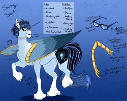 Size: 1280x1024 | Tagged: safe, artist:inisealga, oc, oc only, oc:soaring spirit, pegasus, pony, abstract background, blaze (coat marking), chest fluff, coat markings, colored hooves, colored wings, cutie mark, facial markings, glasses, male, multicolored hair, multicolored mane, multicolored tail, multicolored wings, neck fluff, pegasus oc, raised leg, reference sheet, socks (coat markings), solo, stallion, tail, text, unshorn fetlocks, wing brace, wings