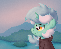 Size: 2415x1926 | Tagged: safe, artist:background basset, lyra heartstrings, pony, unicorn, fanfic:background pony, g4, bust, clothes, dig the swell hoodie, female, hoodie, lidded eyes, mare, mountain, solo, water