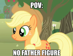 Size: 579x445 | Tagged: safe, derpibooru exclusive, edit, edited screencap, screencap, applejack, earth pony, pony, g4, applejack's hat, applejack's parents, caption, cowboy hat, dark comedy, female, hat, image macro, implied bright mac, mare, meme, no father figure, offscreen character, pov, solo, text, the apple family parents are dead