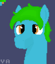 Size: 340x400 | Tagged: safe, artist:valuable ashes, oc, oc:valuable ashes, earth pony, pony, bust, pixel art, simple background, solo