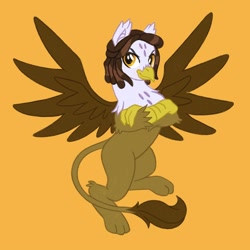 Size: 2000x2000 | Tagged: safe, artist:mediocremare, oc, griffon, female, high res, orange background, simple background, solo
