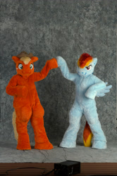 Size: 2860x4296 | Tagged: safe, artist:spainfischer, applejack, rainbow dash, earth pony, human, pegasus, pony, anthro, g4, 2011, anthrocon, anthrocon 2011, convention, cowboy hat, duo, fursuit, hat, hoofbump, irl, irl human, photo, ponysuit, pose, raised hoof, simple background, smiling, smirk, spread wings, tail, wings