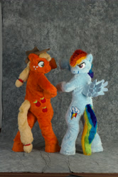 Size: 2860x4296 | Tagged: safe, artist:spainfischer, applejack, rainbow dash, earth pony, human, pegasus, anthro, g4, 2011, anthrocon, anthrocon 2011, butt, convention, cosplay, cowboy hat, duo, duo female, female, fursuit, hair tie, hat, hoof heart, hoofbump, irl, irl human, photo, plot, ponysuit, pose, raised hoof, simple background, smiling, smirk, spread wings, tail, wings