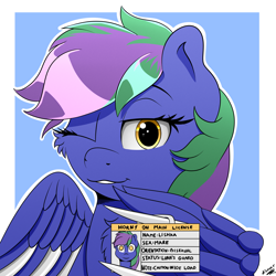 Size: 2000x2000 | Tagged: safe, artist:h3nger, oc, oc only, oc:lishka, pegasus, pony, amber eyes, blade, bust, cheek fluff, chest fluff, commission, commissioner:biohazard, eyebrows, eyelashes, female, high res, horny on main, looking at you, multicolored hair, one eye closed, pegasus oc, portrait, simple background, solo, two toned mane, weapon, wing hands, wingblade, wings, wink, winking at you, ych result