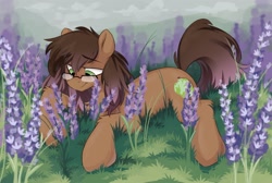 Size: 2004x1345 | Tagged: safe, artist:crimmharmony, oc, oc only, oc:be sharp, earth pony, pony, chest fluff, earth pony oc, flower, gazing, glasses, grass, lavender, leg fluff, lying down, male, outdoors, prone, solo, stallion