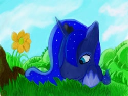 Size: 960x720 | Tagged: safe, artist:hierozaki, princess luna, alicorn, pony, g4, april fools, flower, not twilight sparkle, quality, solo