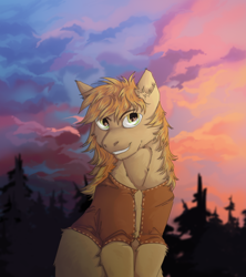 Size: 800x900 | Tagged: safe, artist:bazur, braeburn, earth pony, pony, g4, clothes, commission, male, smiling, solo, stallion, sunset, two toned mane, vest, ych result