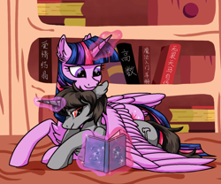 Size: 800x667 | Tagged: safe, artist:ayane, twilight sparkle, oc, oc:dawn an an, alicorn, pony, g4, book, bookshelf, canon x oc, chest fluff, twilight sparkle (alicorn), wing blanket, winghug, wings