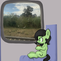 Size: 3022x2986 | Tagged: safe, artist:dumbwoofer, oc, oc:filly anon, earth pony, pony, chair, female, filly, high res, irl, juice, juice box, photo, sitting, solo, train, tree, window