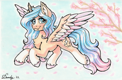 Size: 2688x1771 | Tagged: safe, artist:dandy, oc, oc only, oc:blissful daydreams, pegasus, pony, blushing, cherry blossoms, chest fluff, cute, cute little fangs, ear fluff, eyebrows, eyebrows visible through hair, fangs, female, flower, flower blossom, flying, high res, looking at you, ocbetes, pegasus oc, signature, smiling, smiling at you, solo, spread wings, traditional art, unshorn fetlocks, wings