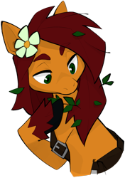 Size: 895x1268 | Tagged: safe, artist:dar, oc, oc only, oc:apple bloom, earth pony, pony, fanfic:song of seven, bag, buckle, bust, earth pony oc, eyebrows, flower, flower in hair, hooves, leaf, leaves, messy mane, satchek, simple background, solo, transparent background, unshorn fetlocks
