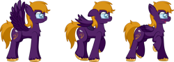 Size: 1920x681 | Tagged: safe, artist:alexdti, oc, oc only, oc:purple creativity, pegasus, pony, blushing, chest fluff, female, floppy ears, folded wings, full body, glasses, hooves, mare, open mouth, open smile, partially open wings, pegasus oc, raised leg, side view, simple background, smiling, solo, spread wings, standing, tail, transparent background, unshorn fetlocks, wings