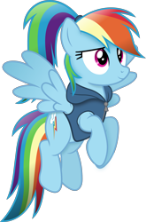 Size: 3025x4587 | Tagged: safe, artist:anime-equestria, rainbow dash, pegasus, pony, g4, alternate hairstyle, clothes, female, hoodie, mare, ponytail, show accurate, simple background, smiling, solo, transparent background, vector, wings