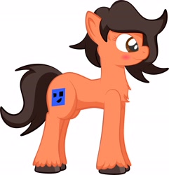 Size: 3904x4052 | Tagged: safe, artist:alexdti, oc, oc only, oc:robertapuddin, earth pony, pony, g5, blushing, chest fluff, earth pony oc, female, full body, high res, hooves, mare, messy mane, pose, side view, simple background, smiling, solo, standing, tail, unshorn fetlocks, white background