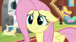 Size: 1280x720 | Tagged: safe, screencap, fluttershy, butterfly, pegasus, pony, fluttershy leans in, g4, season 7, animal, close-up, cute, daaaaaaaaaaaw, dilated pupils, female, fluttershy's cottage, happy, hnnng, mare, reaction image, shyabetes, smiling, solo, weapons-grade cute