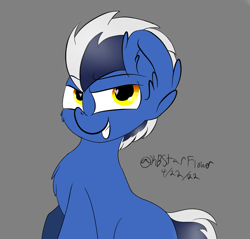 Size: 1135x1087 | Tagged: safe, artist:lunastaralight, oc, oc only, earth pony, pony, ear fluff, earth pony oc, fanart, gray background, grin, signature, simple background, smiling, solo, two toned mane