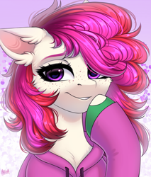 Size: 1920x2258 | Tagged: safe, artist:hakaina, oc, oc only, oc:merry, earth pony, pony, chest fluff, clothes, ear fluff, female, freckles, hoodie, mare, multicolored mane, smug smile, solo, ych result