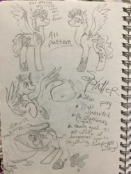 Size: 2448x3264 | Tagged: safe, artist:hkpegasister, oc, oc only, high res, reference sheet, traditional art