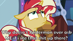 Size: 1920x1080 | Tagged: safe, artist:nieva-creates, edit, edited screencap, screencap, sunset shimmer, equestria girls, equestria girls specials, g4, my little pony equestria girls: mirror magic, bag, caption, floppy ears, image macro, looking up, meme, sad face, sad pony, saddle bag, solo, text