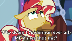 Size: 1920x1080 | Tagged: safe, artist:nieva-creates, edit, edited screencap, screencap, sunset shimmer, equestria girls, equestria girls specials, g4, my little pony equestria girls: mirror magic, bag, caption, floppy ears, image macro, looking up, meme, sad face, sad pony, saddle bag, solo, text