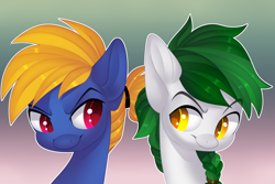 Size: 3000x2000 | Tagged: safe, artist:xvostik, oc, oc only, oc:meadow skip, oc:slashbuckler, earth pony, pegasus, pony, fanfic:song of seven, braided ponytail, earth pony oc, hair tie, high res, looking at each other, looking at someone, male, pegasus oc, stallion