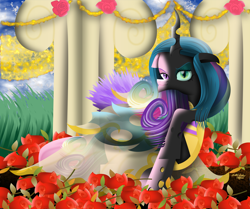Size: 4500x3761 | Tagged: safe, artist:php178, derpibooru exclusive, princess cadance, queen chrysalis, changeling, changeling queen, canterlot wedding 10th anniversary, a canterlot wedding, g4, alicorn wings, anniversary, anniversary art, bedroom eyes, canopy, changeling wings, cheeselegs, clothes, cobblestone street, colored eyebrows, commission, coronation, curly hair, curved horn, decoration, disguise, disguised changeling, dress, duality, evil smile, evil smirk, fake cadance, feather, feathered wings, female, floppy ears, flower, former queen chrysalis, garden, gold, gradient hair, gradient hooves, gradient mane, grass, green eyes, grin, hair, heterochromia, hole, horn, lidded eyes, lineless, looking at you, loose hair, multicolored hair, multicolored mane, multicolored tail, outdoors, pillar, purple eyes, raised eyebrow, raised hoof, raised leg, red, ribbon, rose, schadenfreude, see-through, see-through skirt, skirt, smiling, smiling at you, snout, staring at you, tail, translucent, transparent, transparent wings, two sides, walkway, wall of tags, wedding, wedding dress, wings