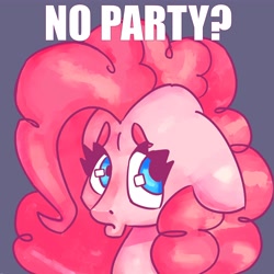 Size: 5000x5000 | Tagged: safe, artist:mannybcadavera, pinkie pie, earth pony, pony, g4, caption, cute, diapinkes, female, floppy ears, frown, image macro, mare, meme, no bitches?, pouty lips, purple background, sad, simple background, solo, text