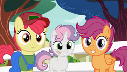 Size: 2560x1440 | Tagged: safe, artist:anonymous, edit, edited edit, edited screencap, editor:deserter, screencap, apple bloom, scootaloo, sweetie belle, earth pony, pegasus, pony, unicorn, g4, marks for effort, adorabloom, bandaid, baseball cap, blank flank, cap, cute, cutealoo, cutie mark crusaders, diasweetes, female, fence, filly, foal, hat, looking at you, smiling, smiling at you, sneed, sneed's feed and seed, tomboy, tree, trio